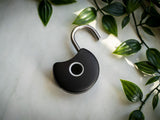 SMART PADLOCK 2-PACK