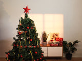 NEXSMART™ SMART LED STRING LIGHTS